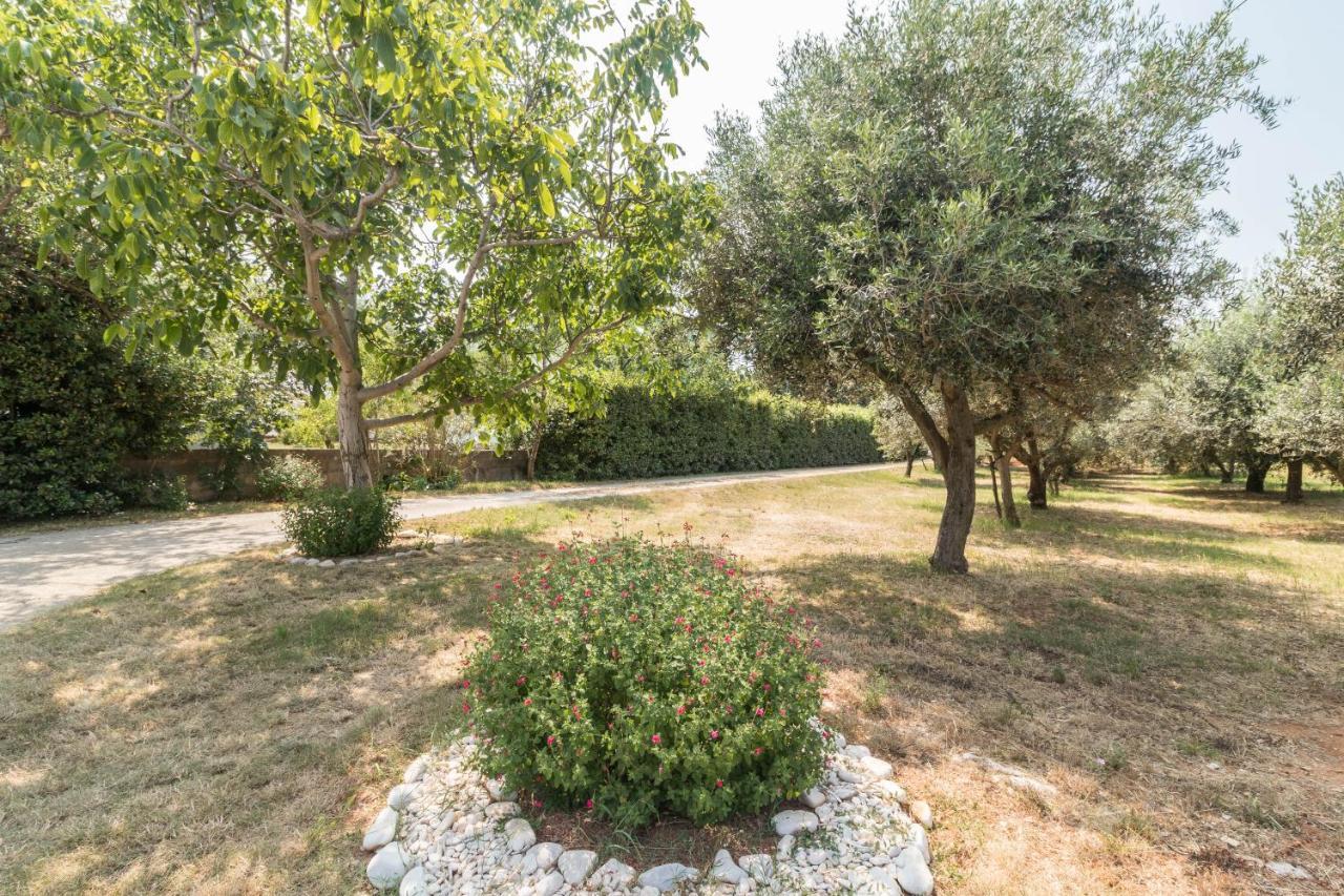 Ližnjan Apartments Ivica 1706 מראה חיצוני תמונה